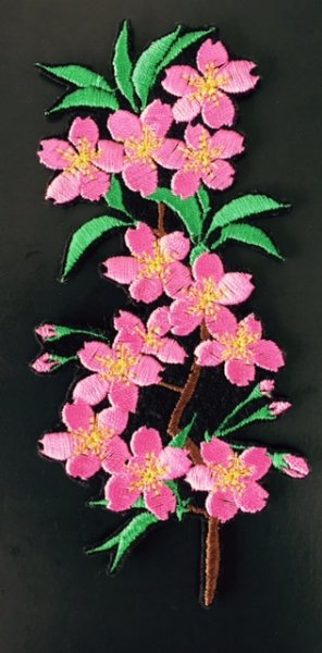 画像1: 桜枝蕾みあり (1)