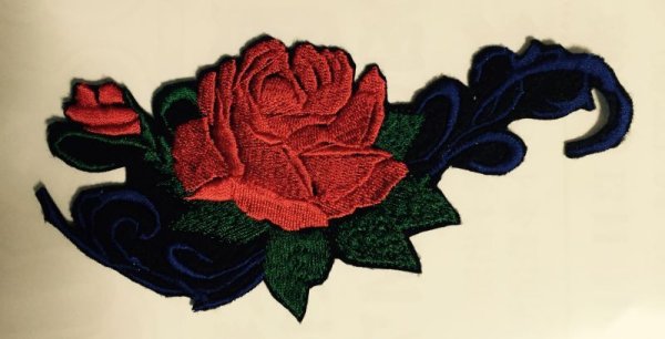 画像1: 薔薇 (1)
